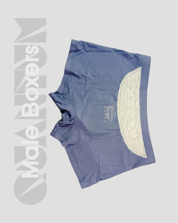 Quantum Energy Male Boxers - Image 6