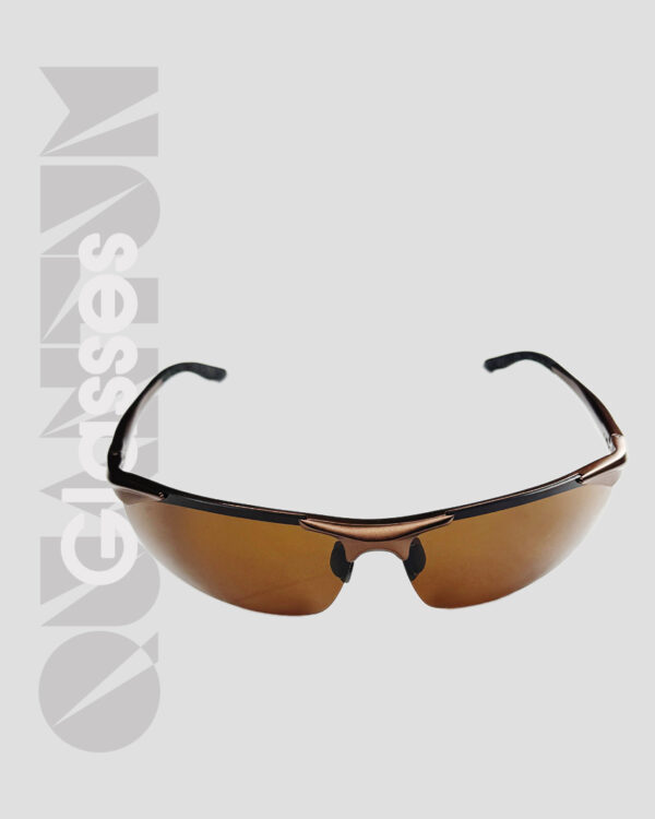 Quantum Polarized Glasses - Image 2