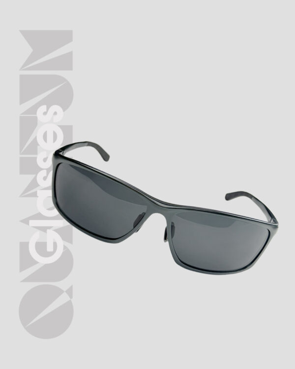 Quantum Polarized Glasses - Image 9